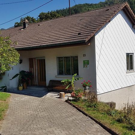 Les Noyers Du Wissbach Villa Willer-sur-Thur Exterior photo