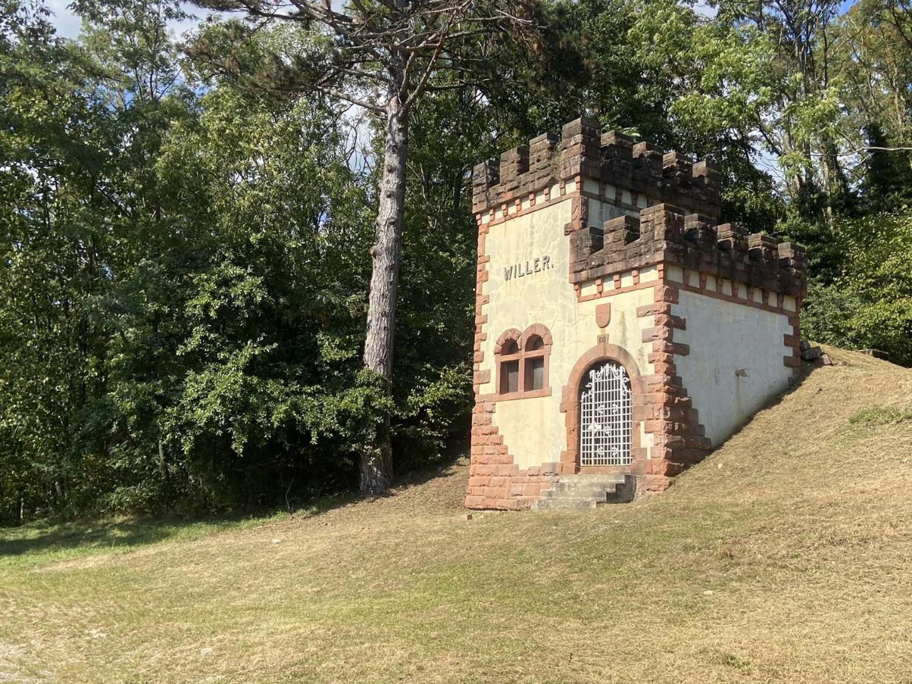 Les Noyers Du Wissbach Villa Willer-sur-Thur Exterior photo